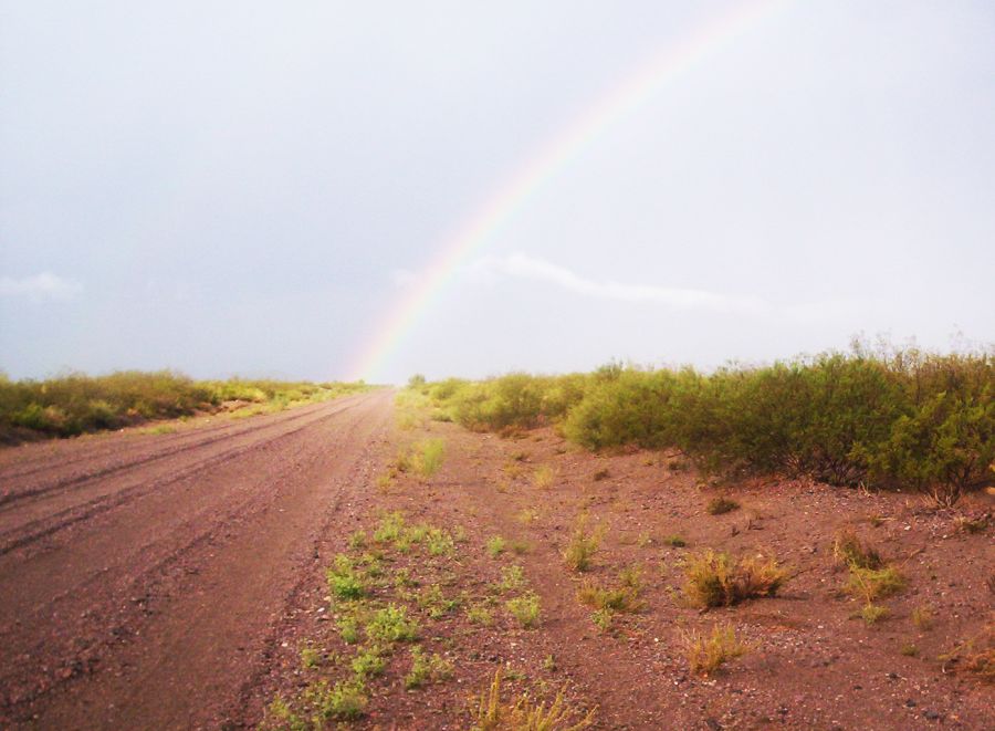 "buscando el arco iris" de Dante Escudero