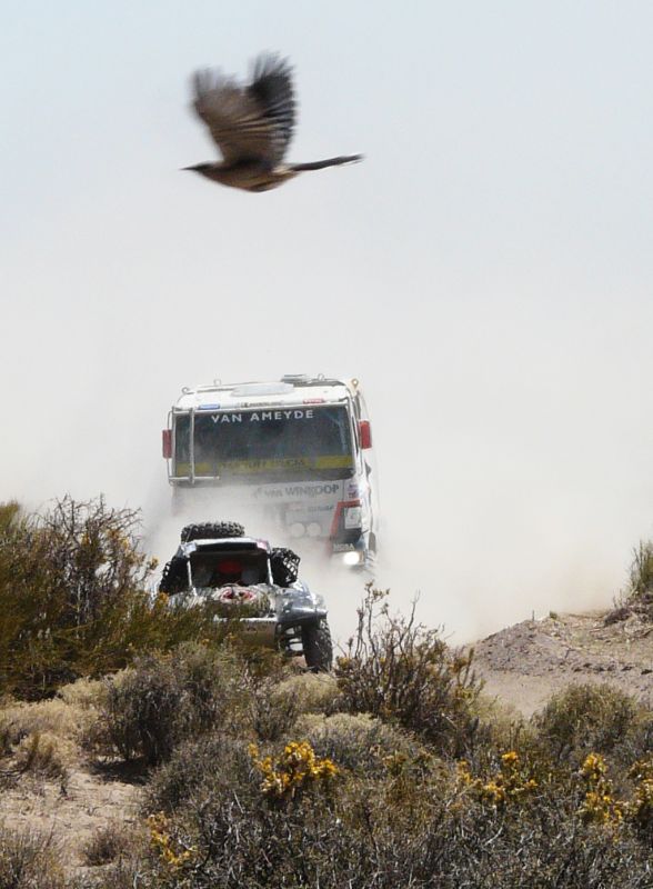 "Dakar.espectador anonimo" de Dante Escudero