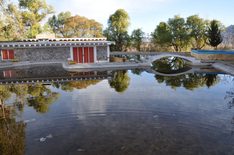 "REFLEJOS" de Jose Alberto Vicente