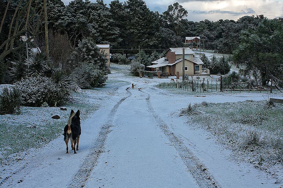 "Nieva en sierras" de Stella Maris Kippke