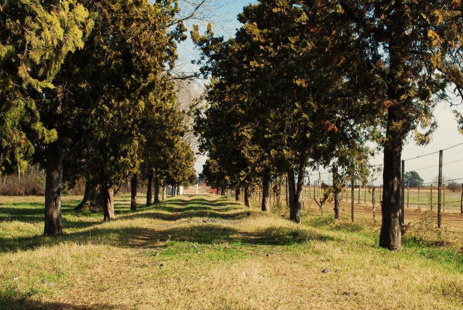 "caminando hasta llegar." de Ludmila Luis Llovet