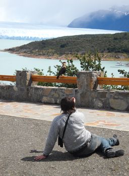 "aves, la mejor toma fotografica" de Dante Escudero