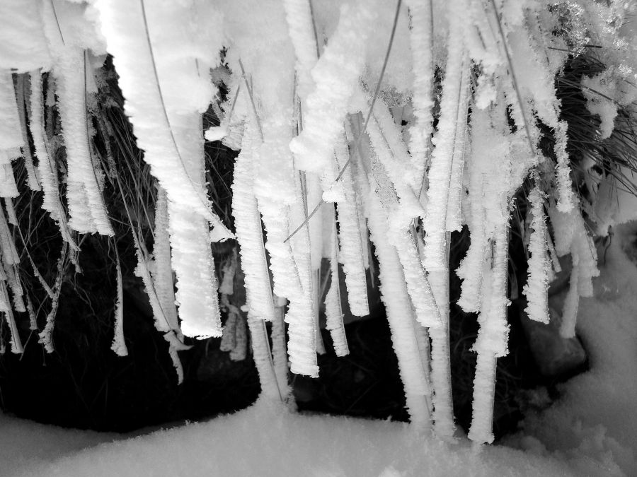 "Hace frio" de Cecilia Serrano