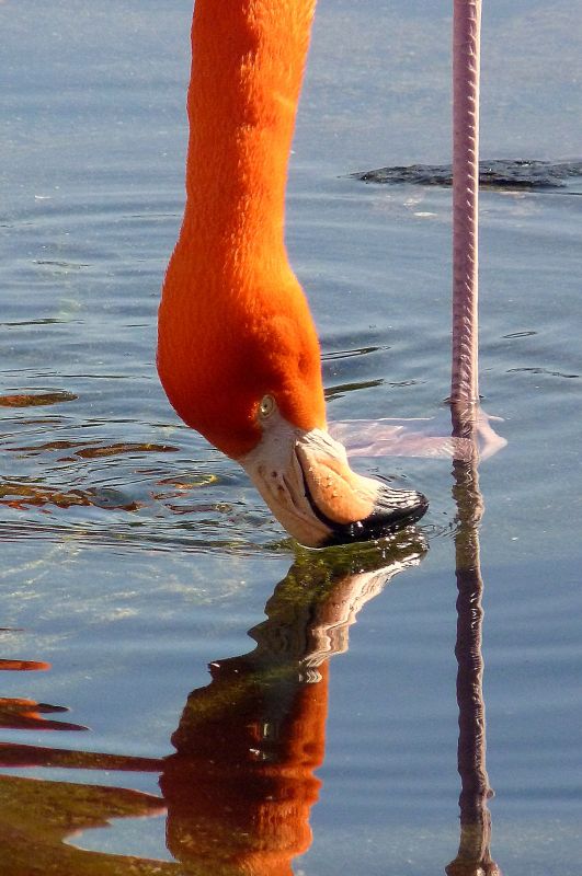 "equilibrio perfecto" de Noemi Gomez