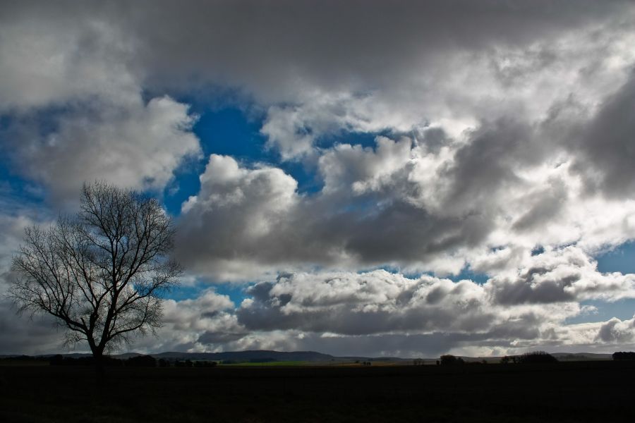 "Cielo con fro" de Carmen Nievas