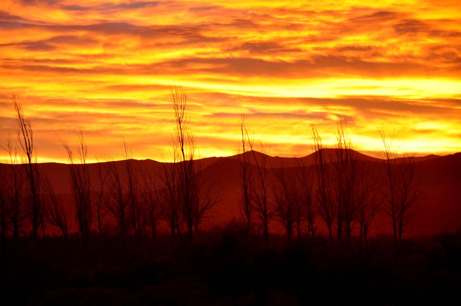 "Amanece en el Infierno" de Nestor Ponce