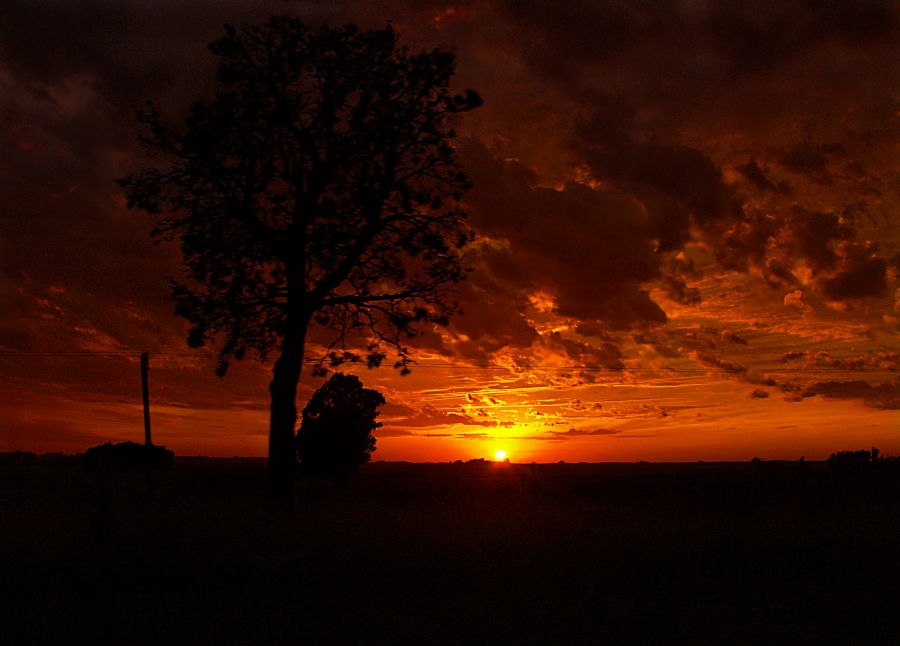 "Amanecer" de Arturo Rey