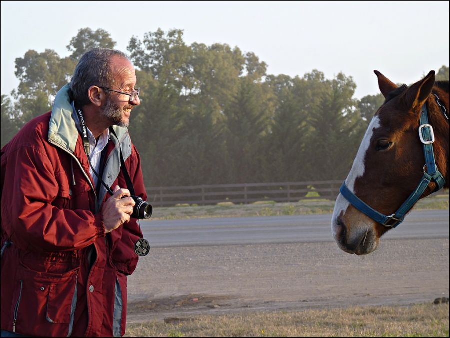 "Alberto y Mr Ed" de Alberto Elizalde