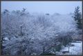 Nieve en la Ciudad