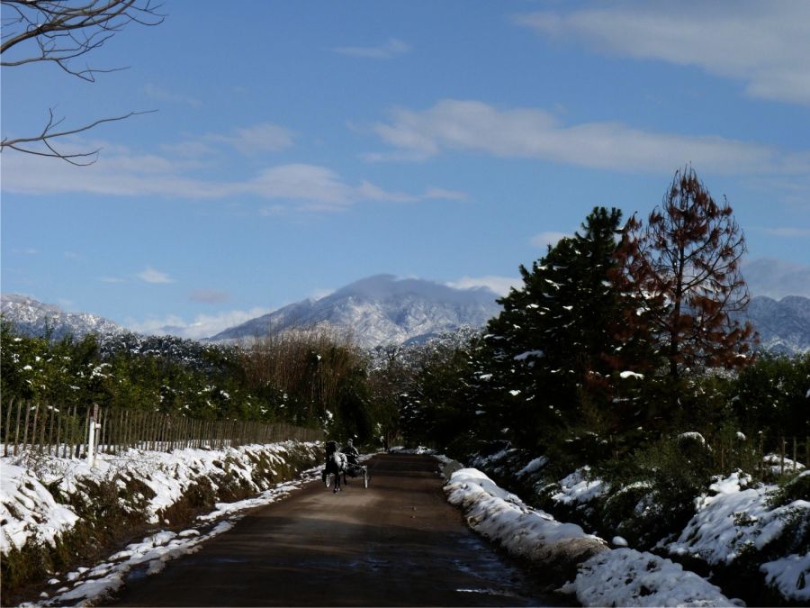 "`Recorriendo una maana con nieve`" de Pillon Juan