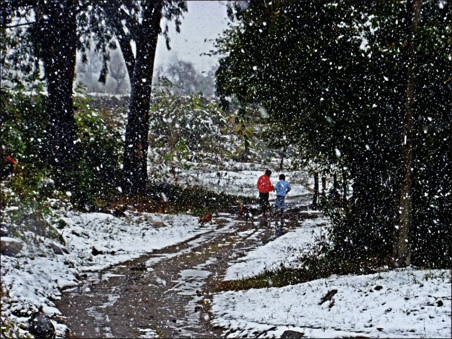 "Dialogo en la nieve" de Ruben Perea