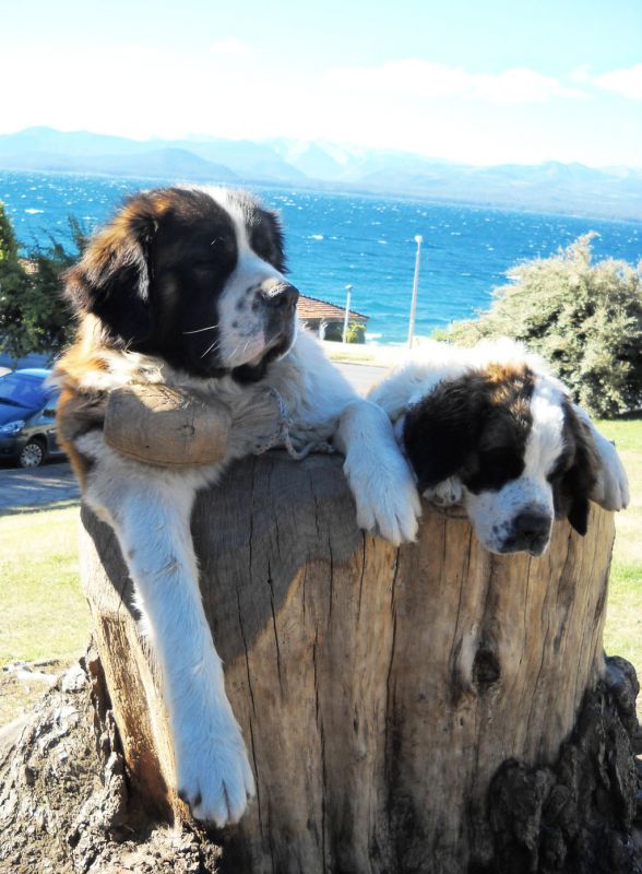 "tomando sol" de Dante Escudero