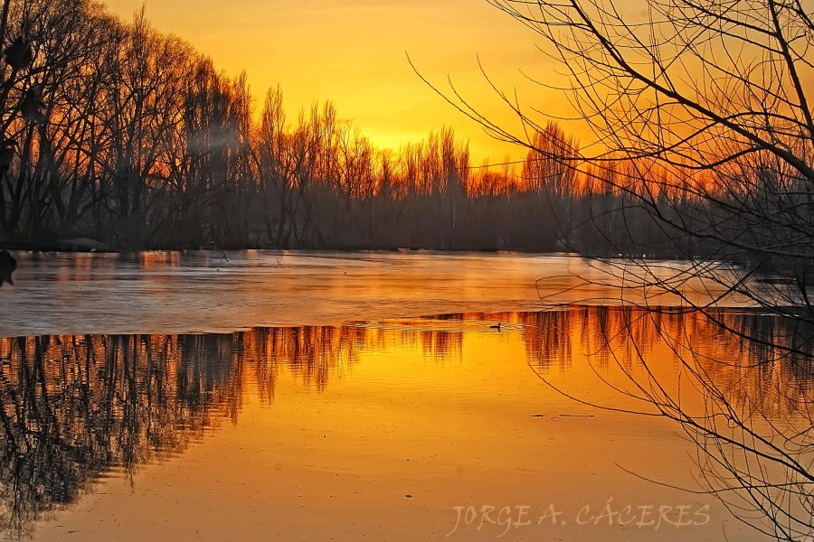 "`pato al agua....helada`" de Jorge A. Cceres