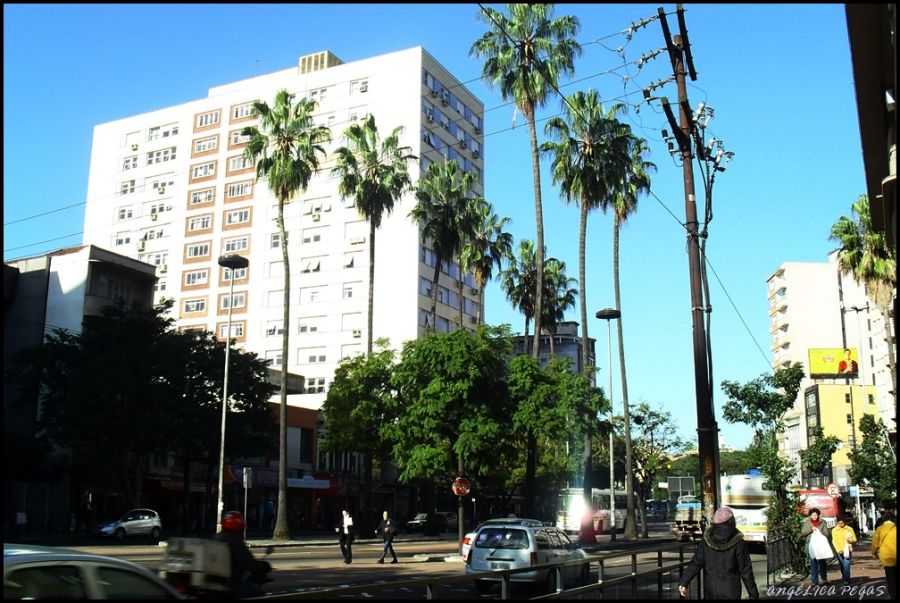 "UNA AVENIDA DE M CIUDAD" de Anglica Pegas