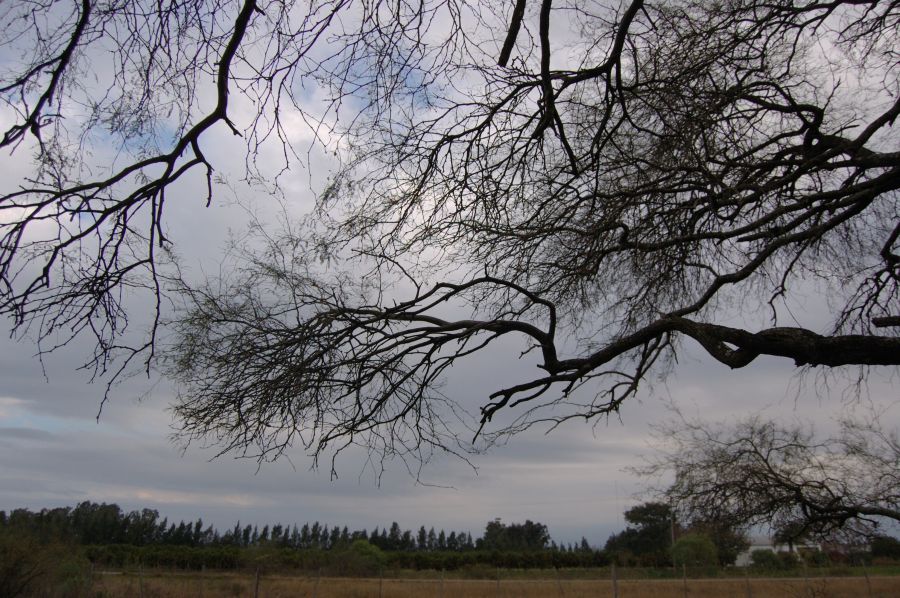 "Campo argentino..." de Romina Esponda