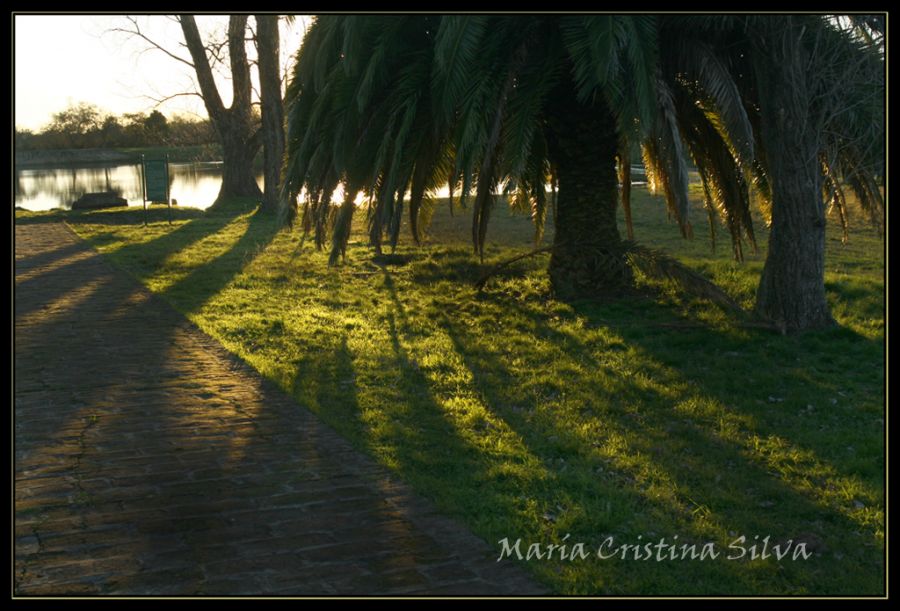 "Sin Titulo" de Maria Cristina Silva