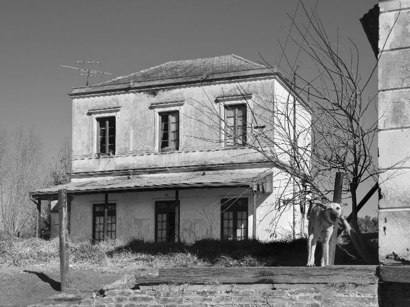 "De la Serie `La estacin del abandono`" de Eli - Elisabet Ferrari