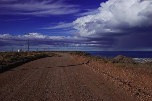 "Haciendo camino al andar" de Leandro Moccia