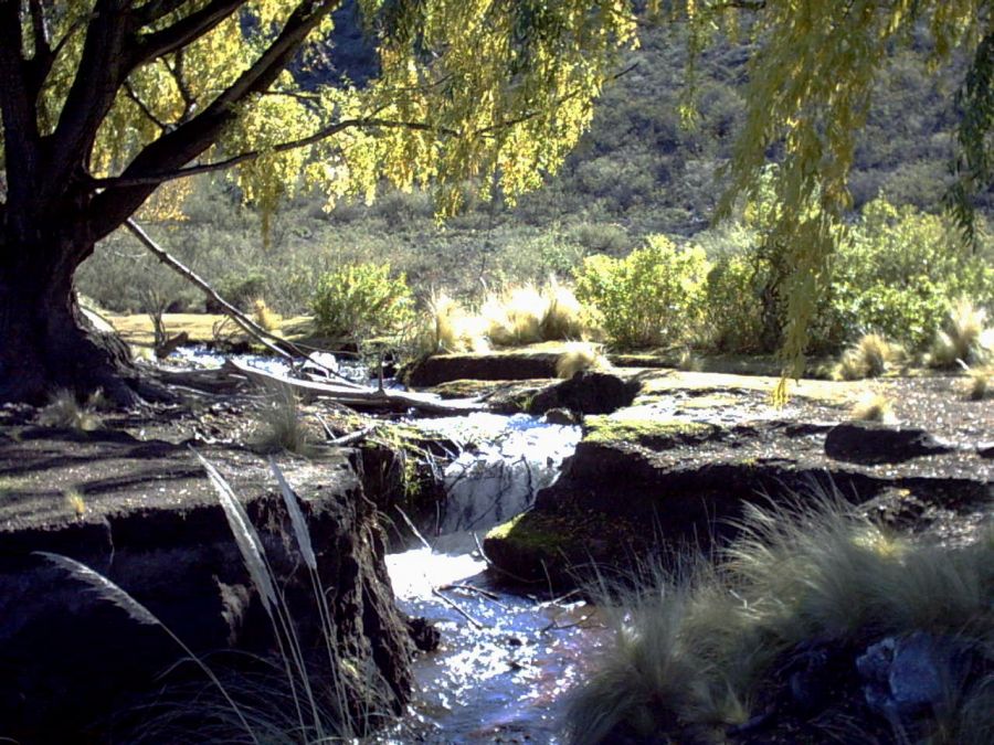 "en el arroyo" de Dante Escudero