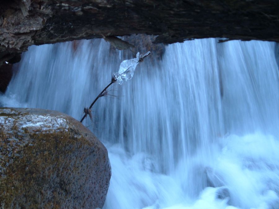 "cortina de agua" de Dante Escudero