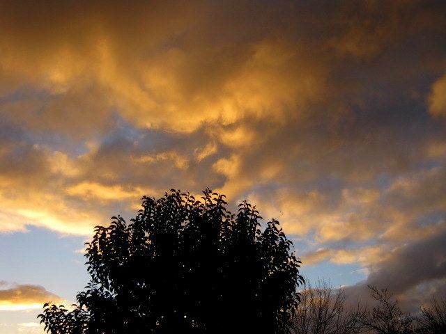 "Cielo en llamas I" de Mara Griselda Garca Cuerva