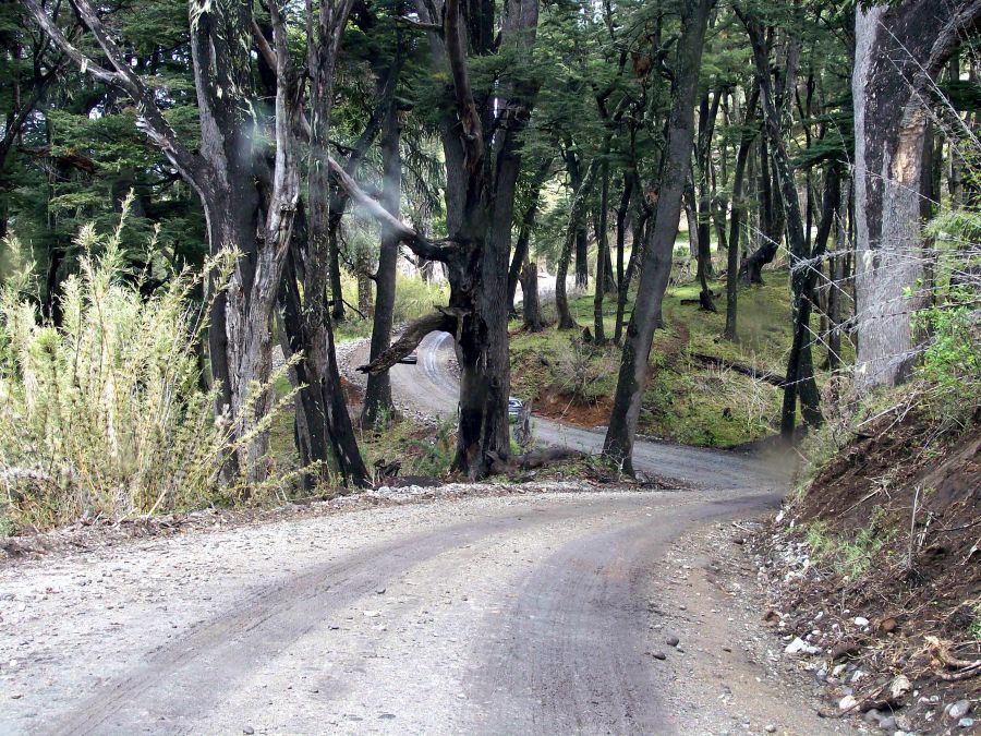 "Buscando el camino" de Ana Rosa Rey