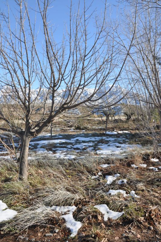 "`paisaje invernal en precordiller de Mendoza`" de Jose Alberto Vicente