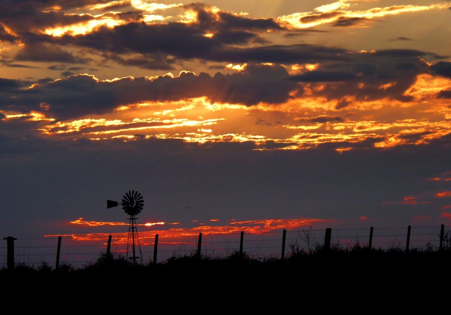 "atardece en el campo" de Noemi Gomez