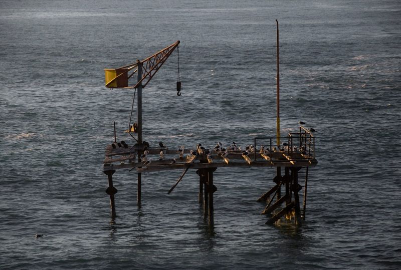 "Viejo muelle" de Alejandro Ruta