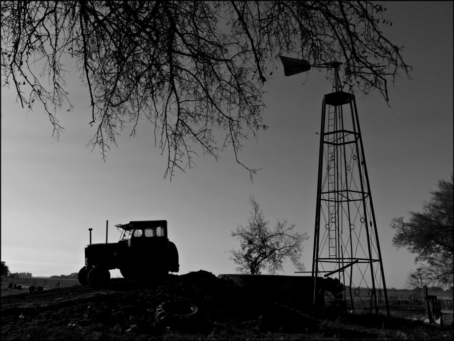 "Contraluz de campo" de Alberto Elizalde