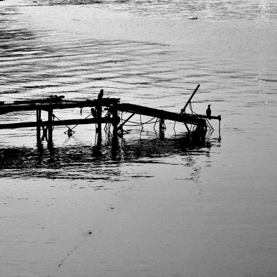 "el muelle" de Liliana Prez