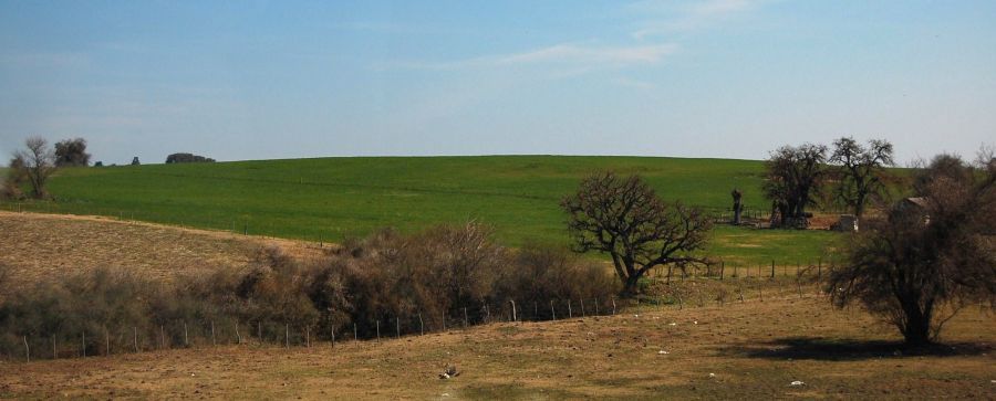 "Paisaje entrerriano." de Romina Esponda