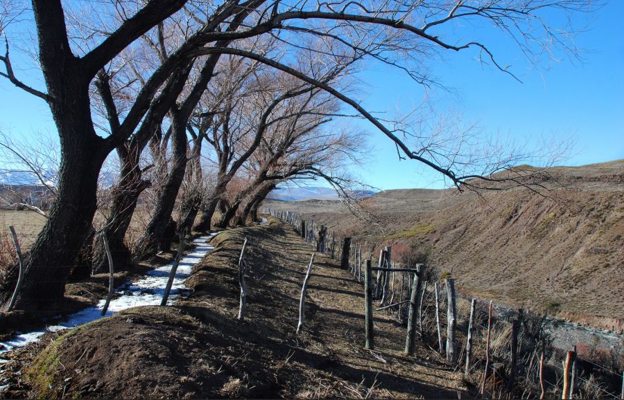 "`Acequia de hielo`" de Jorge A. Cceres