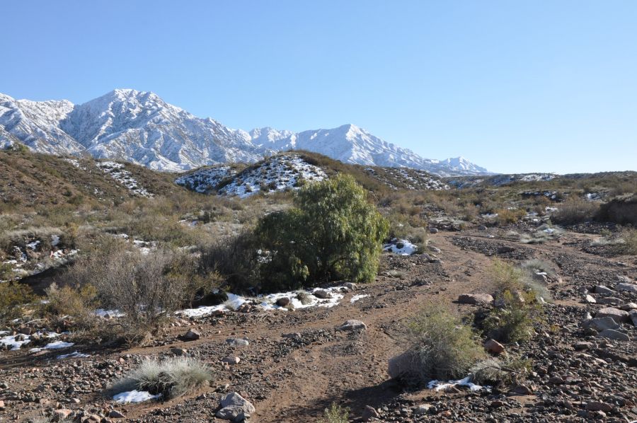 "PRECORDILLERA DE MENDOZA" de Jose Alberto Vicente