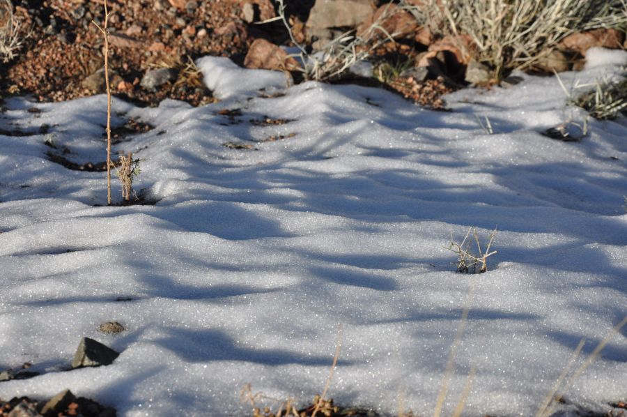 "manto blanco de nieve" de Jose Alberto Vicente