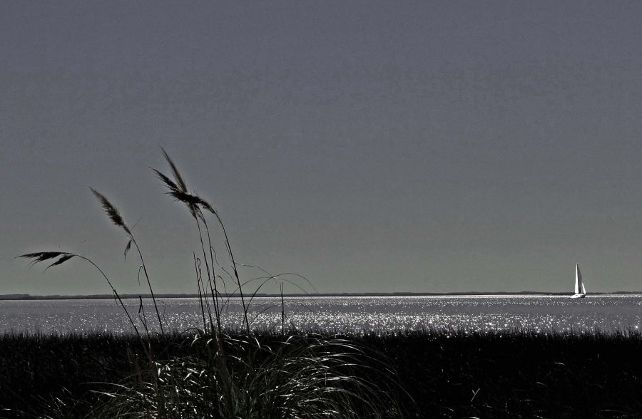 "A viento" de Eduardo Ponssa