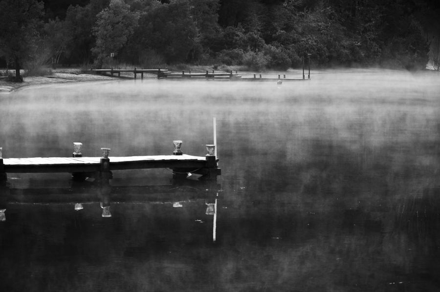 "Muelle en la niebla" de Adriana Harguindeguy