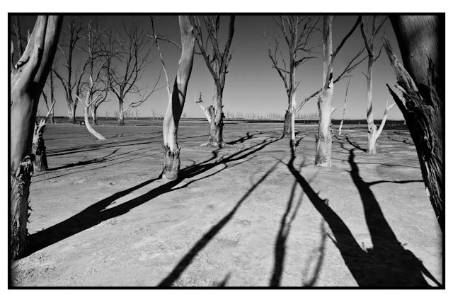 "Una sombra muy pronto seras" de Gregorio Donikian