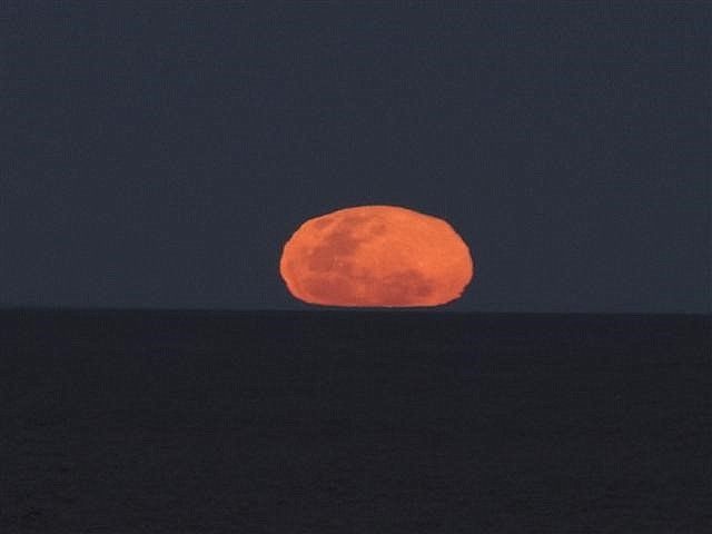 "luna llena1" de estela rosso