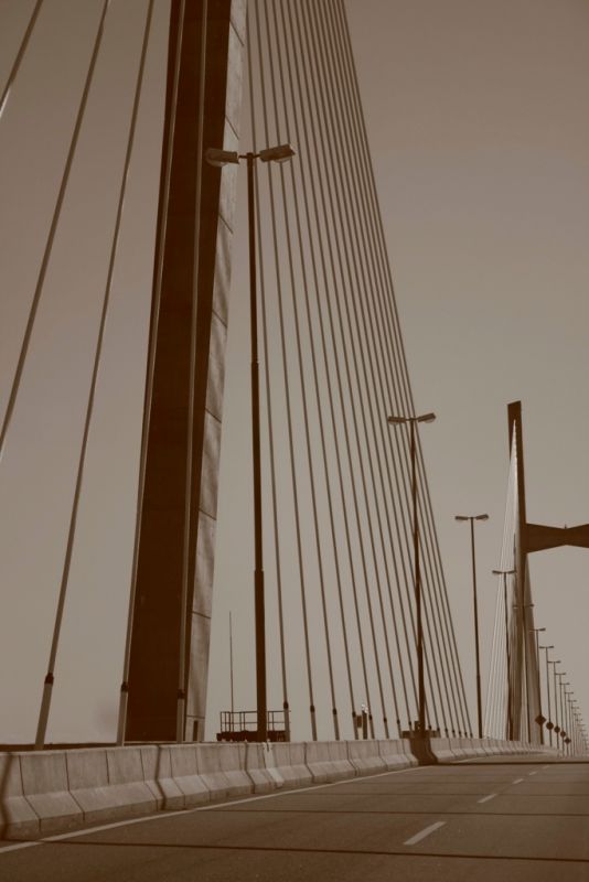 "Puente Rosario-Victoria" de Maria Felicitas
