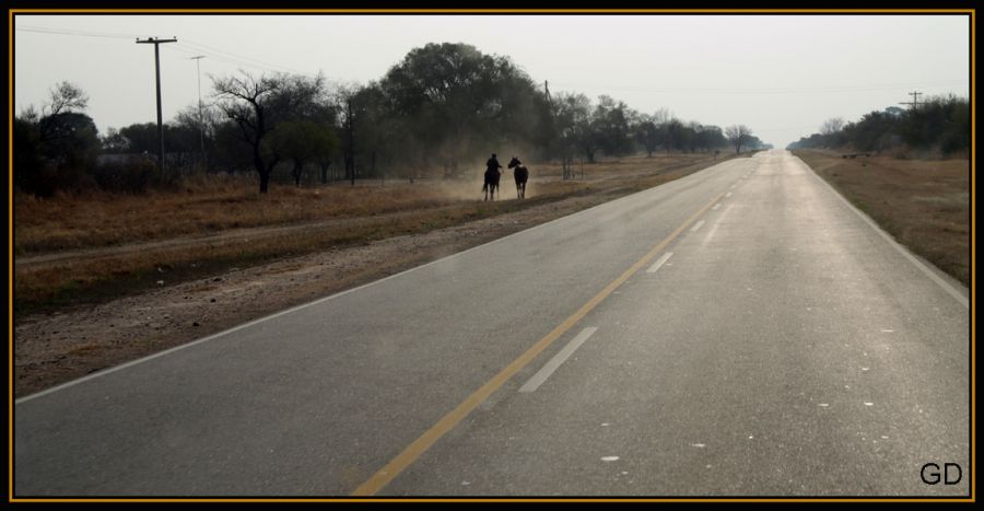 "entre el polvo" de Gabriela Domato