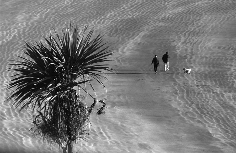 "Por la playa....solo los tres." de Mario Abad