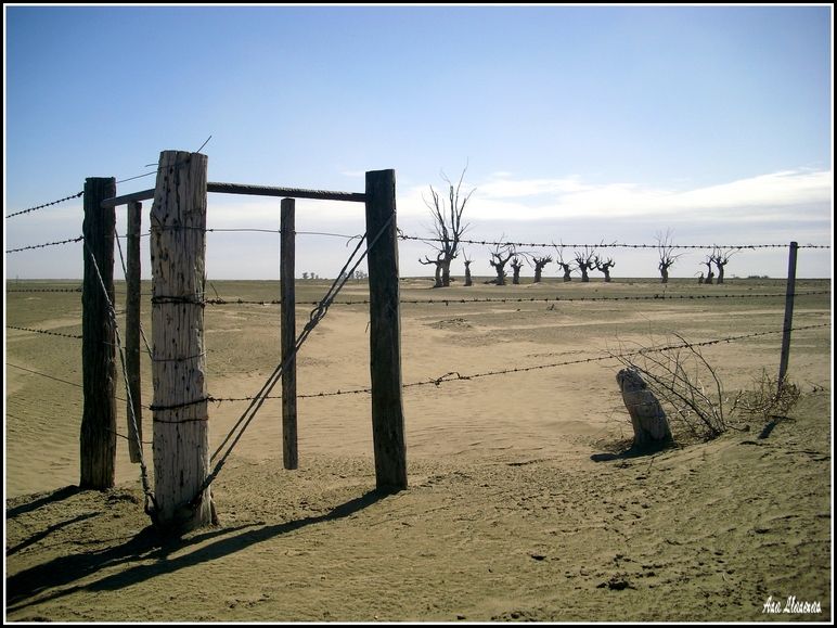 "Epecun." de Ana Llaneras.