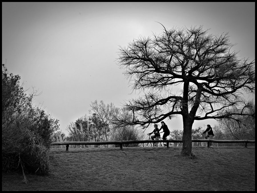 "Paseo en bicicletas" de Alberto Elizalde