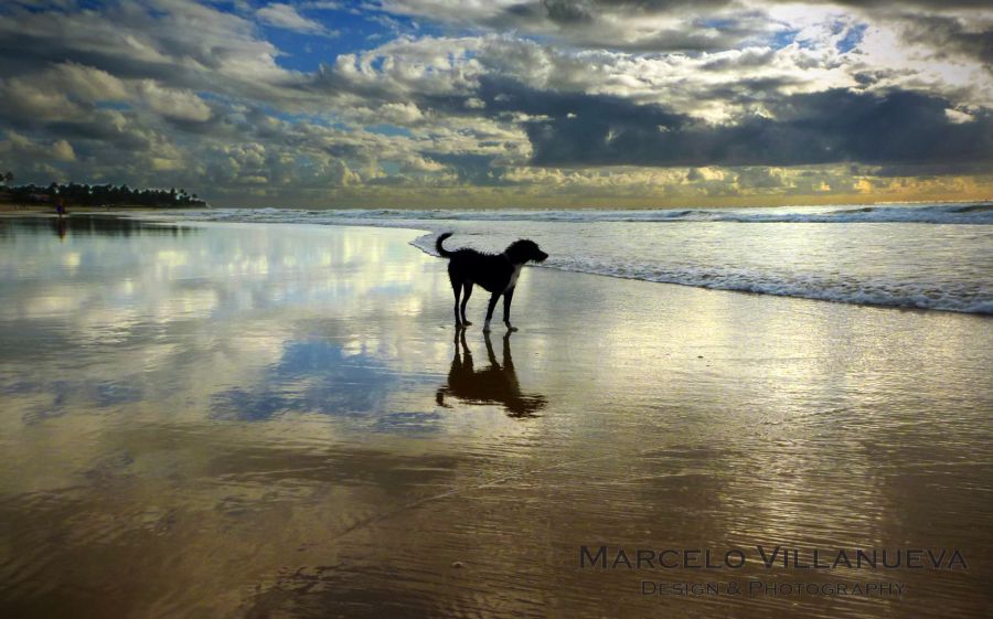 "Jugando en soledad..." de Marcelo Villanueva