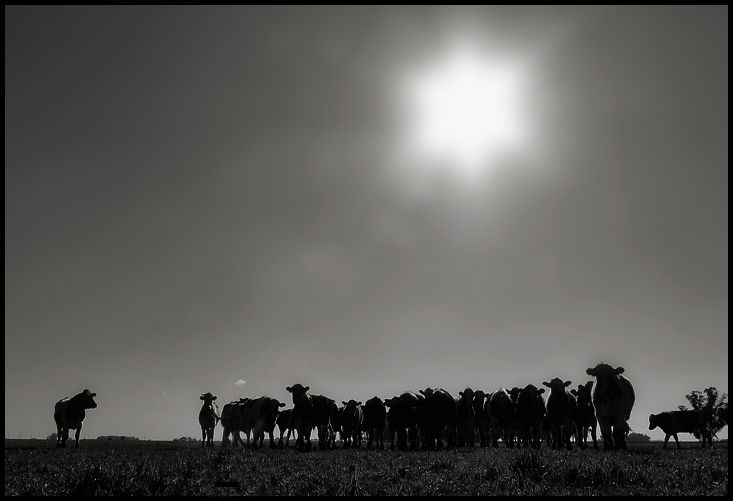 "Curiosas" de Bernarda Ballesteros