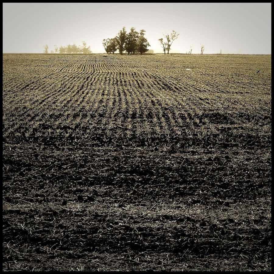 "Profundidad de campo" de Bernarda Ballesteros