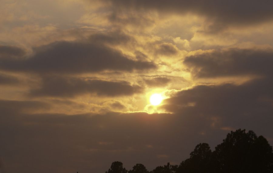 "amanece en Cardales" de Ricardo Alfredo Borthwick