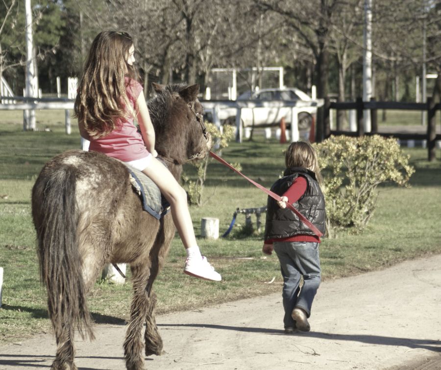 "de paseo" de Ricardo Alfredo Borthwick