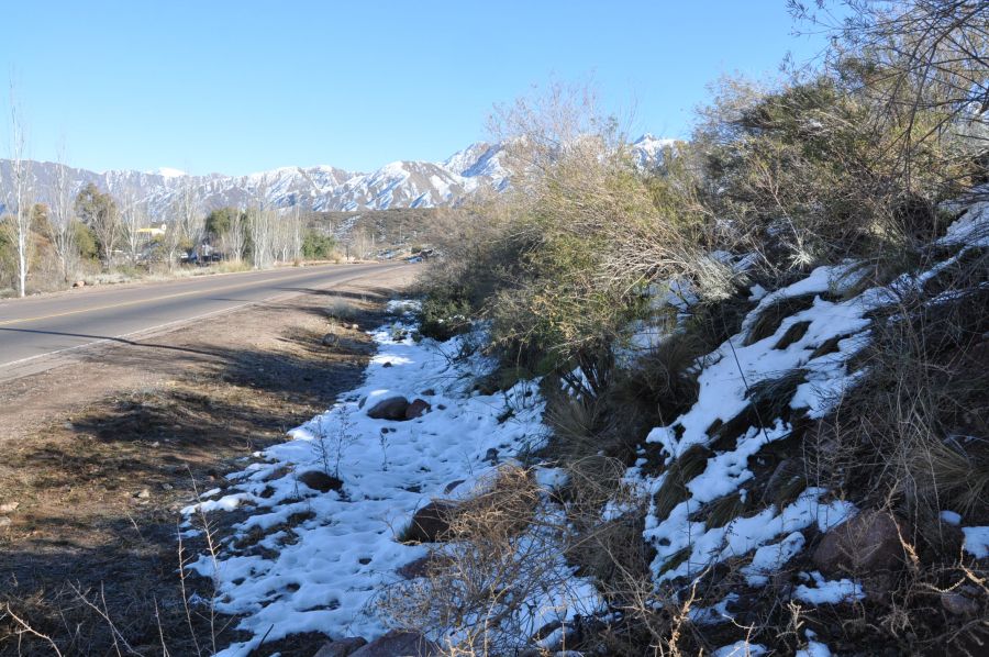 "TERMINANDO LA NEVADA" de Jose Alberto Vicente